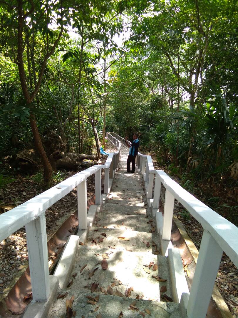 WhatsApp Image 2017 11 25 at 8.54.40 PM 1